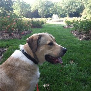 Meet your Posher, Emily